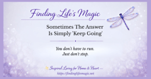 Finding Life's Magic blog — Sometimes The Answer Is Simply Keep Going faith encouragement post with dragonfly