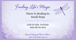 Finding Life's Magic blog — There Is Healing In Small Steps faith encouragement post with dragonfly
