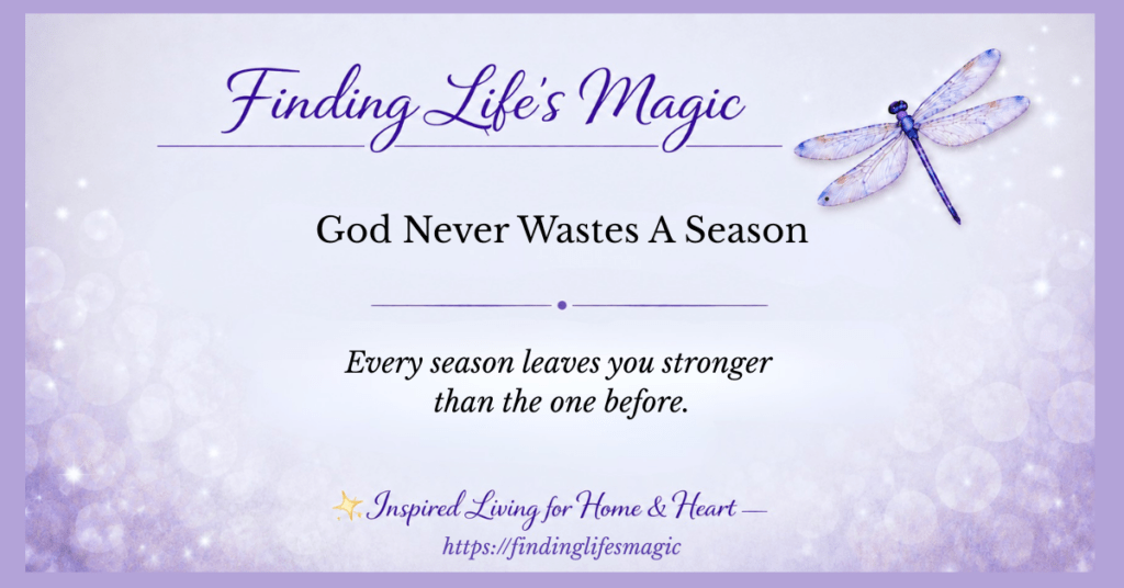 God Never Wastes A Season