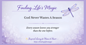 God Never Wastes A Season
