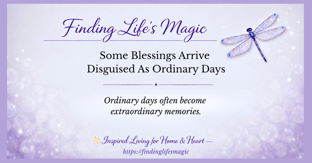 Some Blessings Arrive Disguised As Ordinary Days
