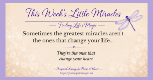 This Weeks Little Miracles Finding Lifes Magic blog post about everyday miracles and Gods love in ordinary moments