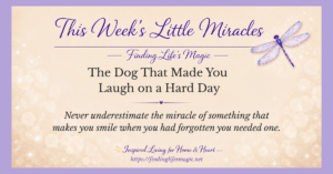 The Dog That Made You Laugh on a Hard Day blog post graphic from Finding Lifes Magic with inspirational quote about little miracles