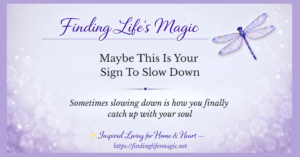 Finding Life's Magic blog post — Maybe This Is Your Sign To Slow Down with dragonfly and inspirational quote about slowing down and catching up with your soul
