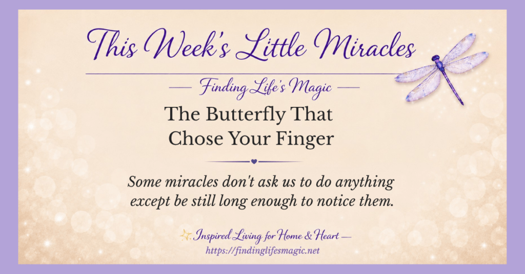 little miracles from God — butterfly landing on a finger with inspirational quote about being still