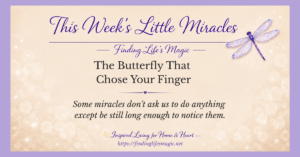 little miracles from God — butterfly landing on a finger with inspirational quote about being still