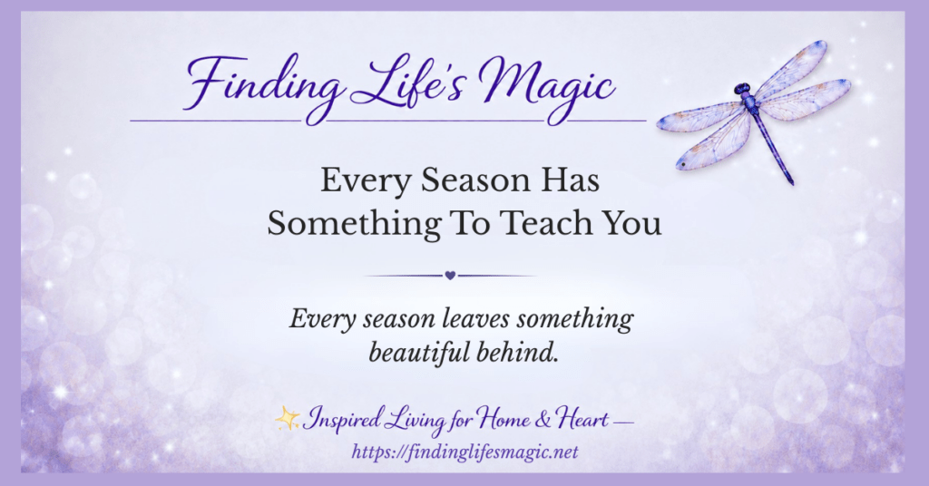 Every Season Has Something to Teach You blog post graphic with dragonfly and faith encouragement from Finding Lifes Magic