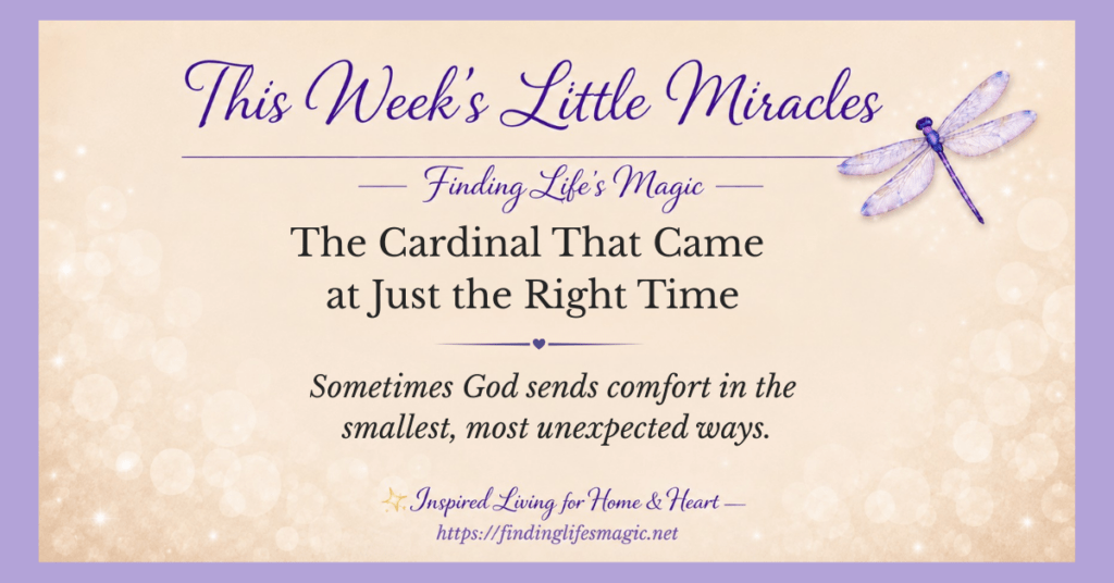 cardinal visits from heaven — This Week's Little Miracles blog graphic