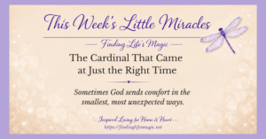 cardinal visits from heaven — This Week's Little Miracles blog graphic