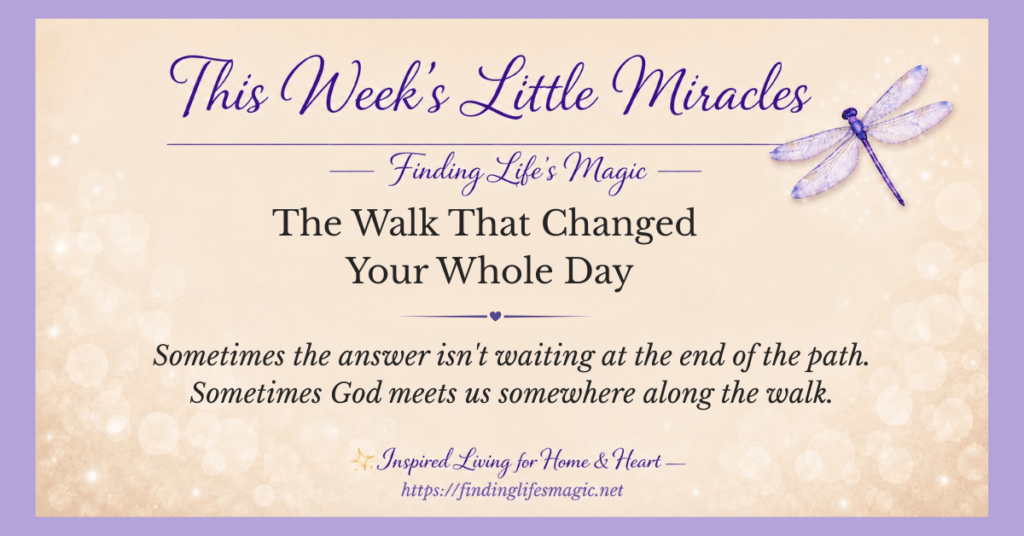 Walking with God — sunlit path through trees with wildflowers — the walk that changed your whole day