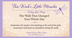 Walking with God — sunlit path through trees with wildflowers — the walk that changed your whole day