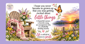 Never stop getting excited about little things quote with butterfly, wildflowers, Adirondack chair and sunset