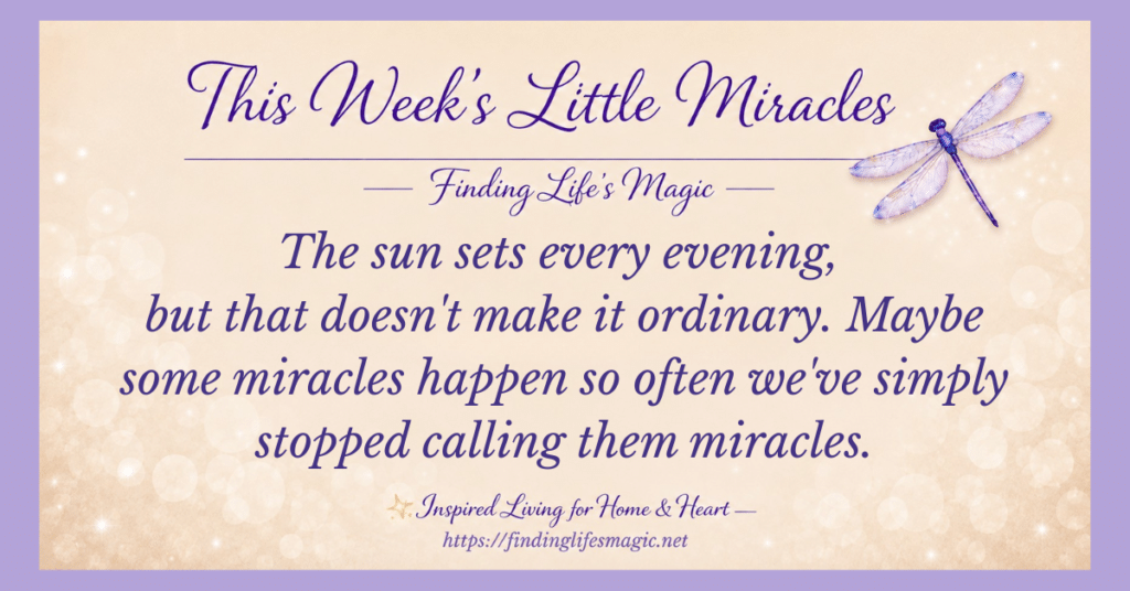 Cream sparkly background with a purple dragonfly and the quote about little miracles: the sun sets every evening, but that doesn't make it ordinary.
