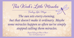 Cream sparkly background with a purple dragonfly and the quote about little miracles: the sun sets every evening, but that doesn't make it ordinary.